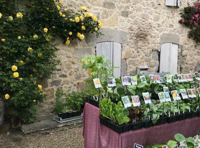 Du Paradis Σπίτι διακοπών *