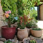 Du Paradis Casa vacanze *