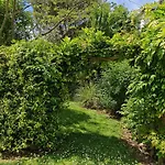 Du Paradis Vieuzos