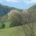 Du Paradis