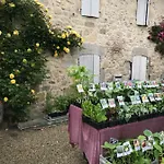 Du Paradis Hébergement de vacances *