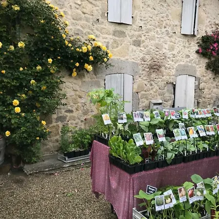 Du Paradis Hébergement de vacances *